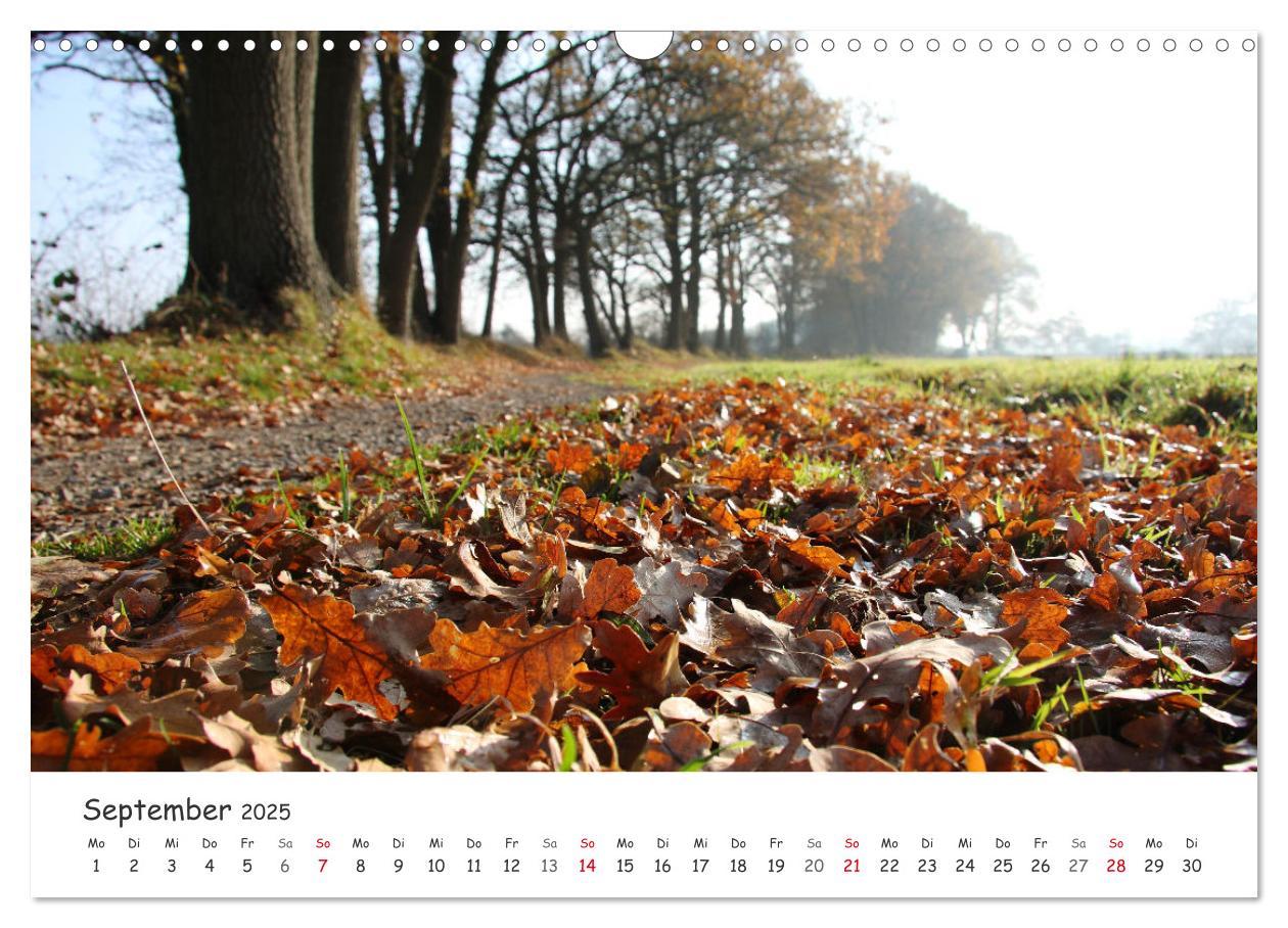 Bild: 9783435078431 | Zauberhaftes Ammerland (Wandkalender 2025 DIN A3 quer), CALVENDO...