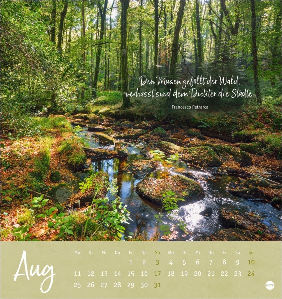 Bild: 9783756407118 | Unser Wald Postkartenkalender 2025 - zauberhafter Ort der Kraft | 2025