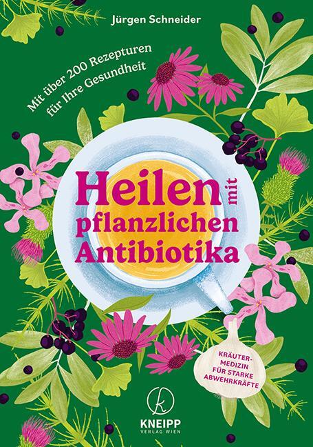 Cover: 9783708808345 | Heilen mit pflanzlichen Antibiotika | Jürgen Schneider | Taschenbuch