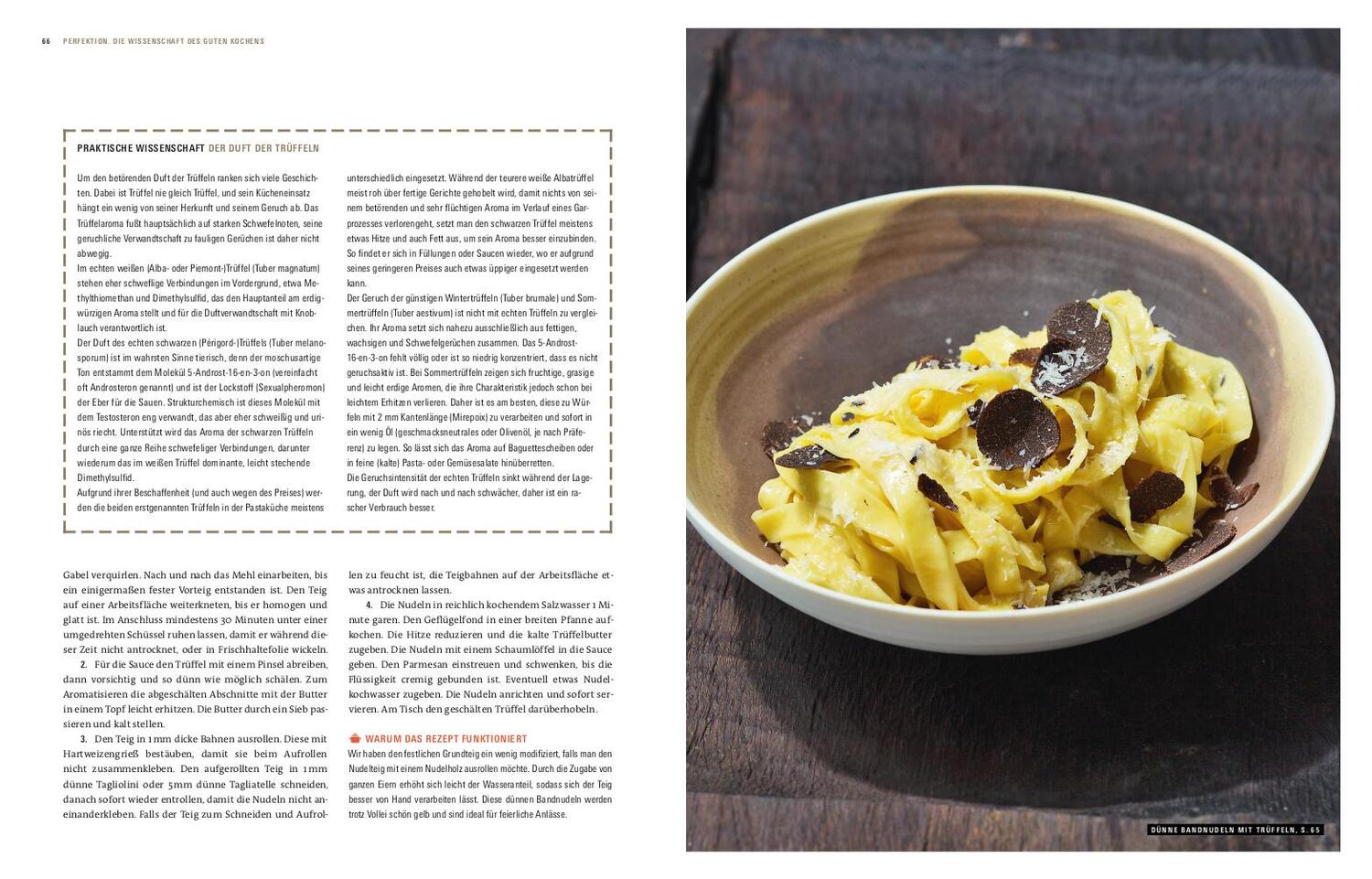 Bild: 9783747101056 | Perfektion Pasta | Die Wissenschaft des guten Kochens | Vilgis (u. a.)