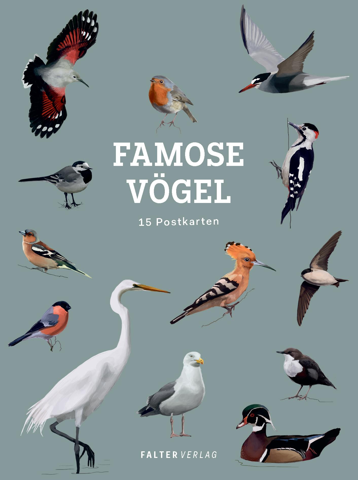 Cover: 9783854399995 | Famose Vögel - Postkartenbuch | 15 Postkarten | Taschenbuch | 32 S.