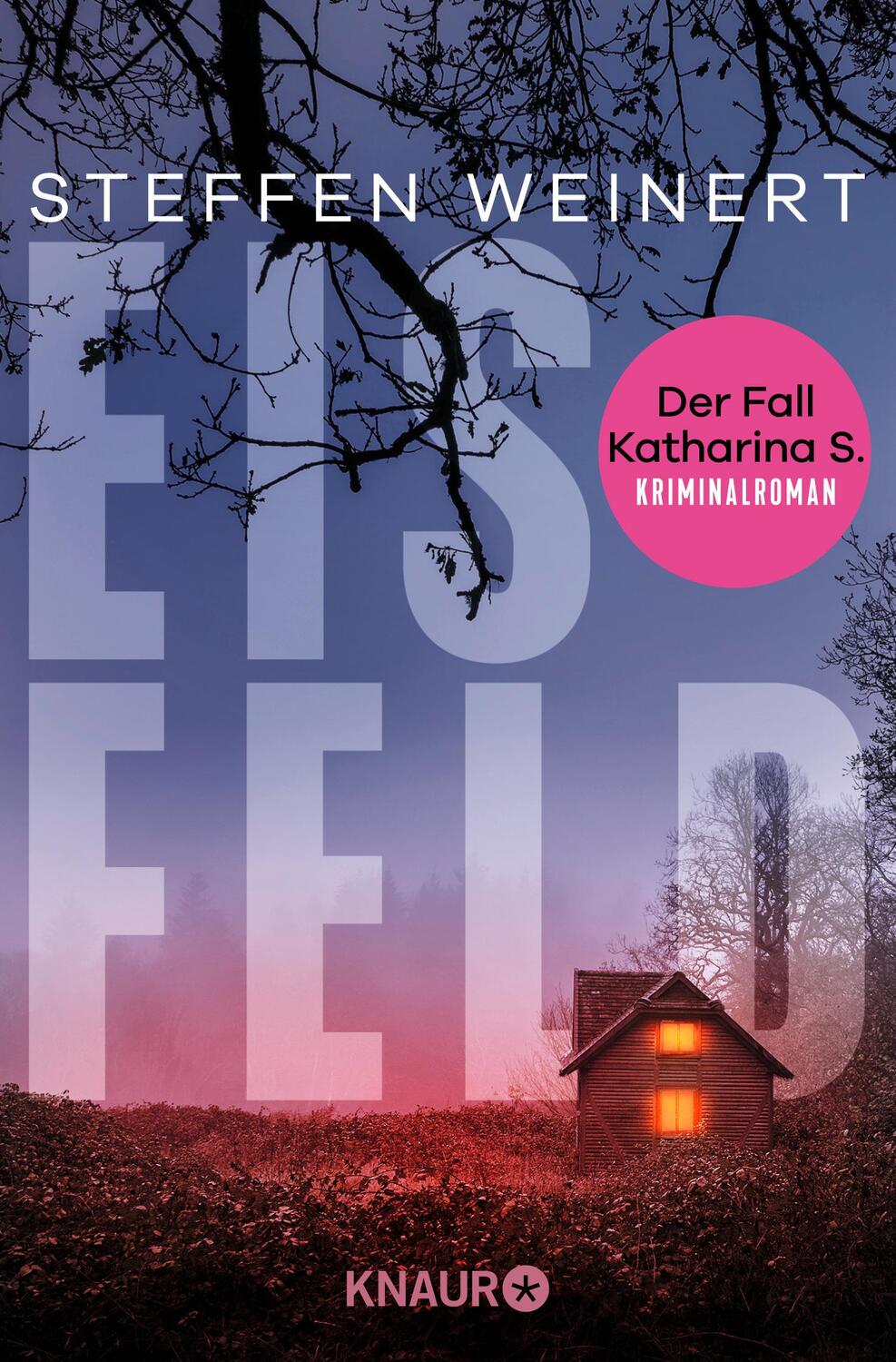 Cover: 9783426448212 | Eisfeld - Der Fall Katharina S. | Steffen Weinert | Taschenbuch | 2024