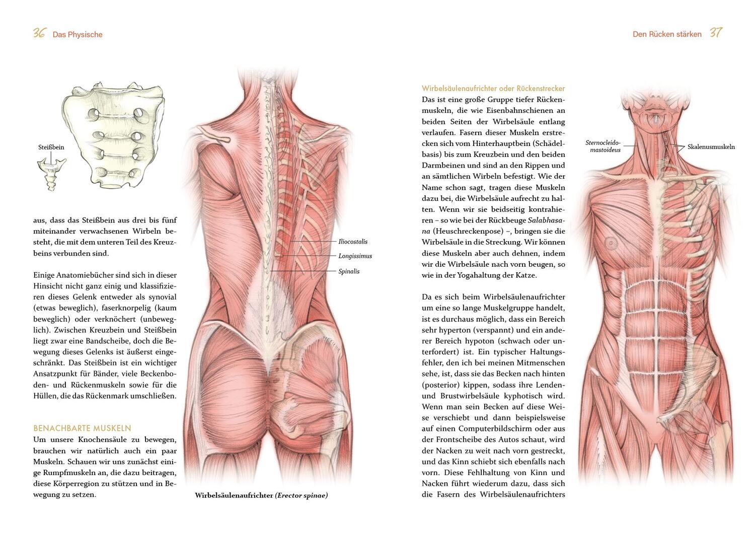 Bild: 9783742326836 | Ganzheitliche Anatomie für moderne Yogis | Kristin Leal | Taschenbuch