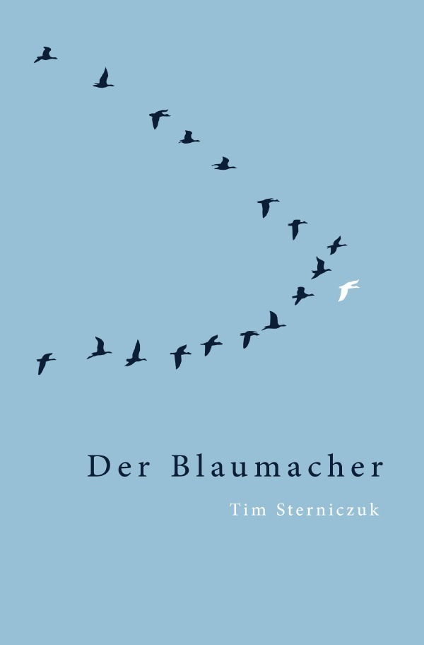 Cover: 9783756518791 | Der Blaumacher | Tim Sterniczuk | Taschenbuch | epubli