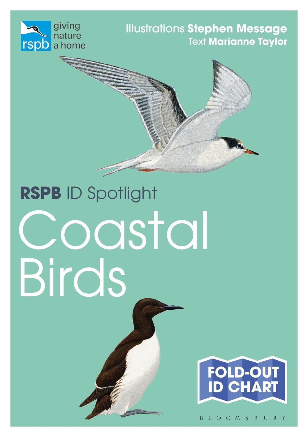 Cover: 9781472974242 | Rspb Id Spotlight - Coastal Birds | Marianne Taylor | Taschenbuch