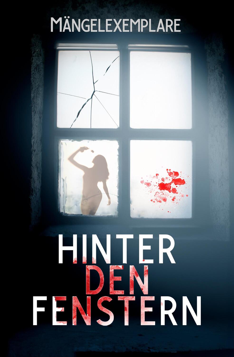 Cover: 9783958695344 | Mängelexemplare 5: Hinter den Fenstern | Vincent Voss (u. a.) | Buch