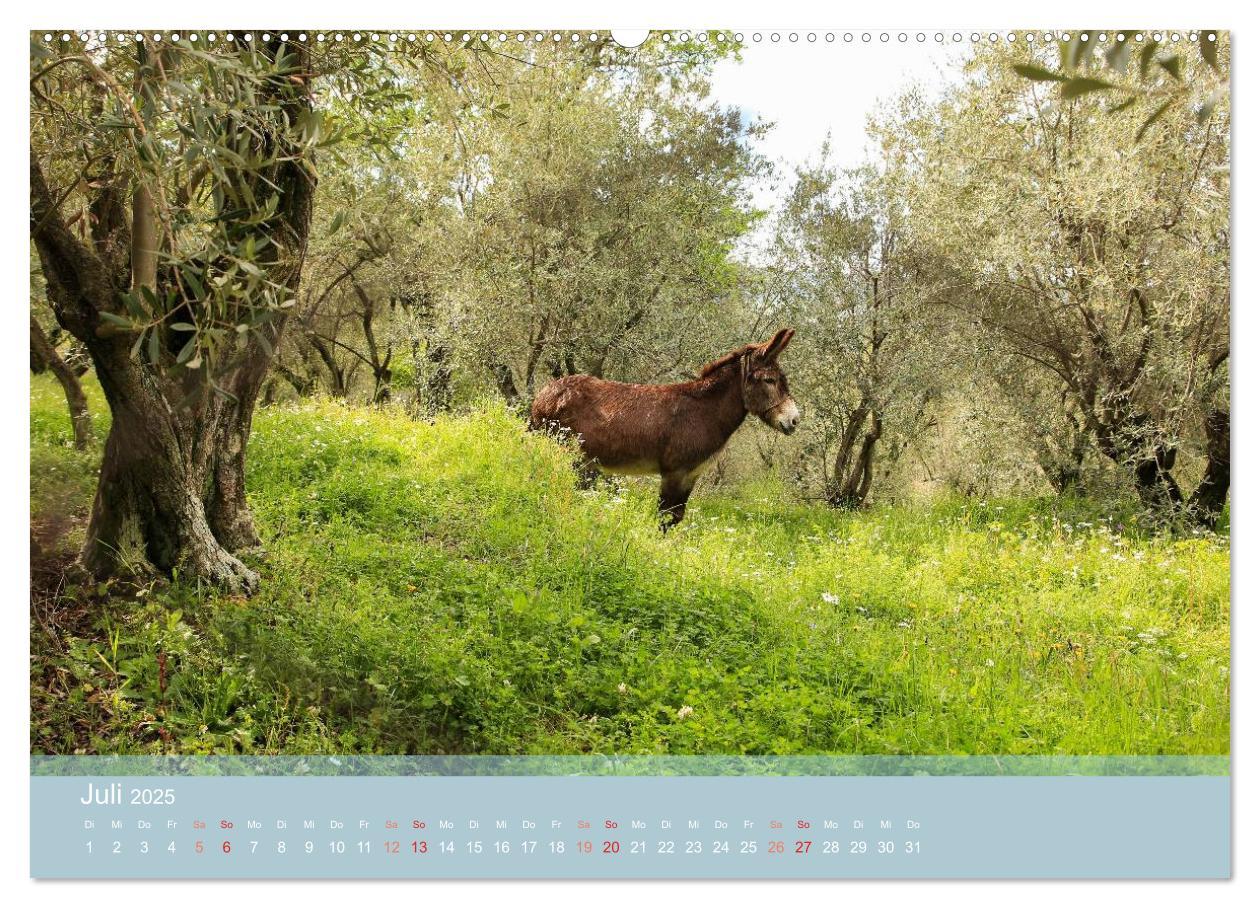 Bild: 9783435682867 | Lesbos - Inselimpressionen (Wandkalender 2025 DIN A2 quer),...