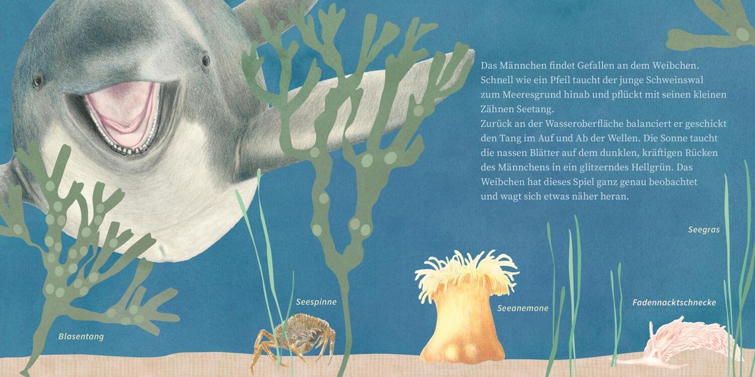 Bild: 9783551083159 | LESEMAUS 135: Der kleine Wal und das Meer | Claudia H.M. Hangen | Buch