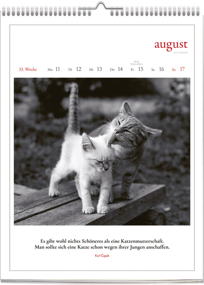 Bild: 9783747205655 | Katzen - Literarisch durchs Jahr 2025 | Wochenkalender | Kalender