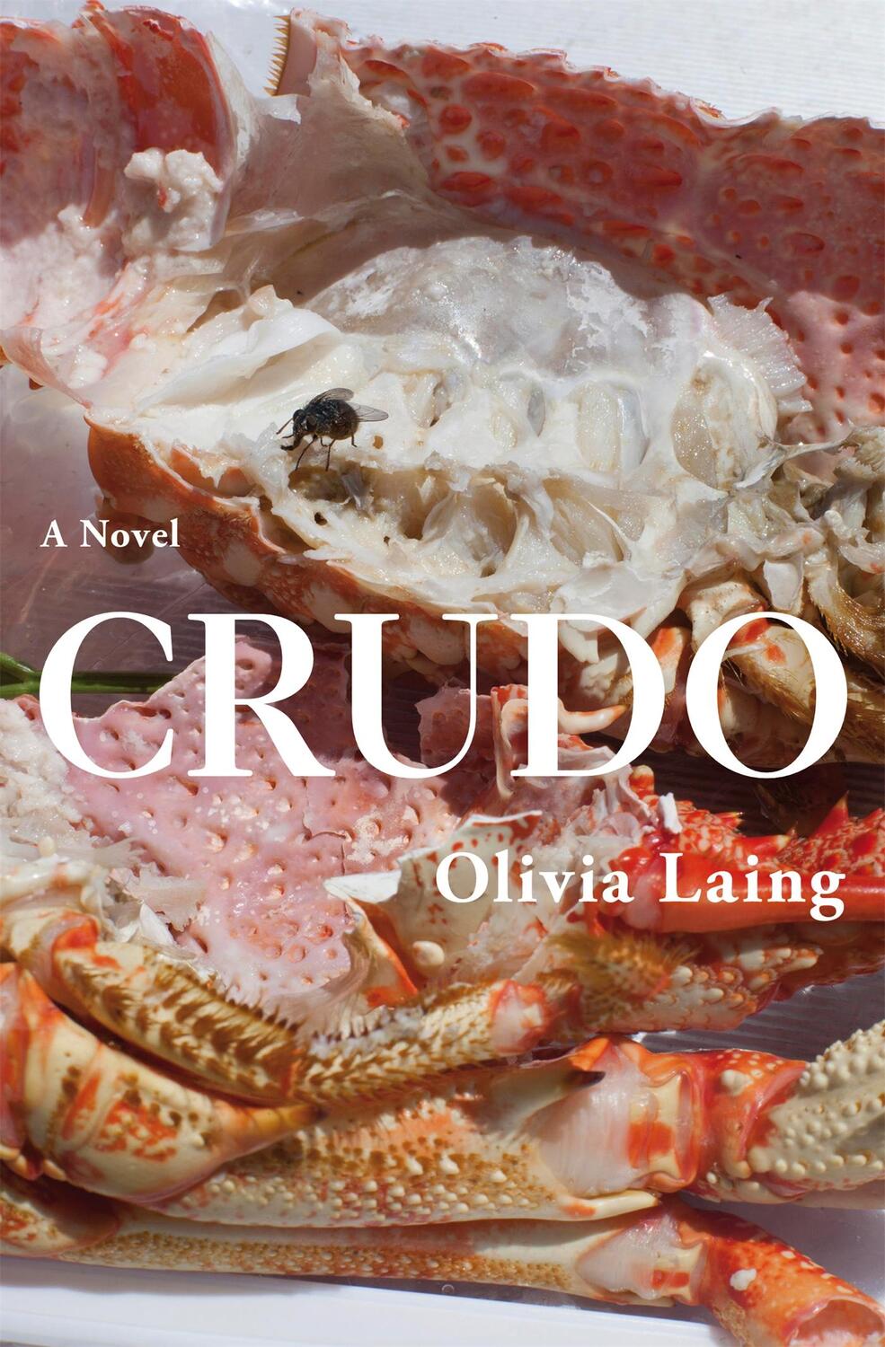 Cover: 9781509892839 | Crudo | Olivia Laing | Buch | 144 S. | Englisch | 2018 | Pan Macmillan