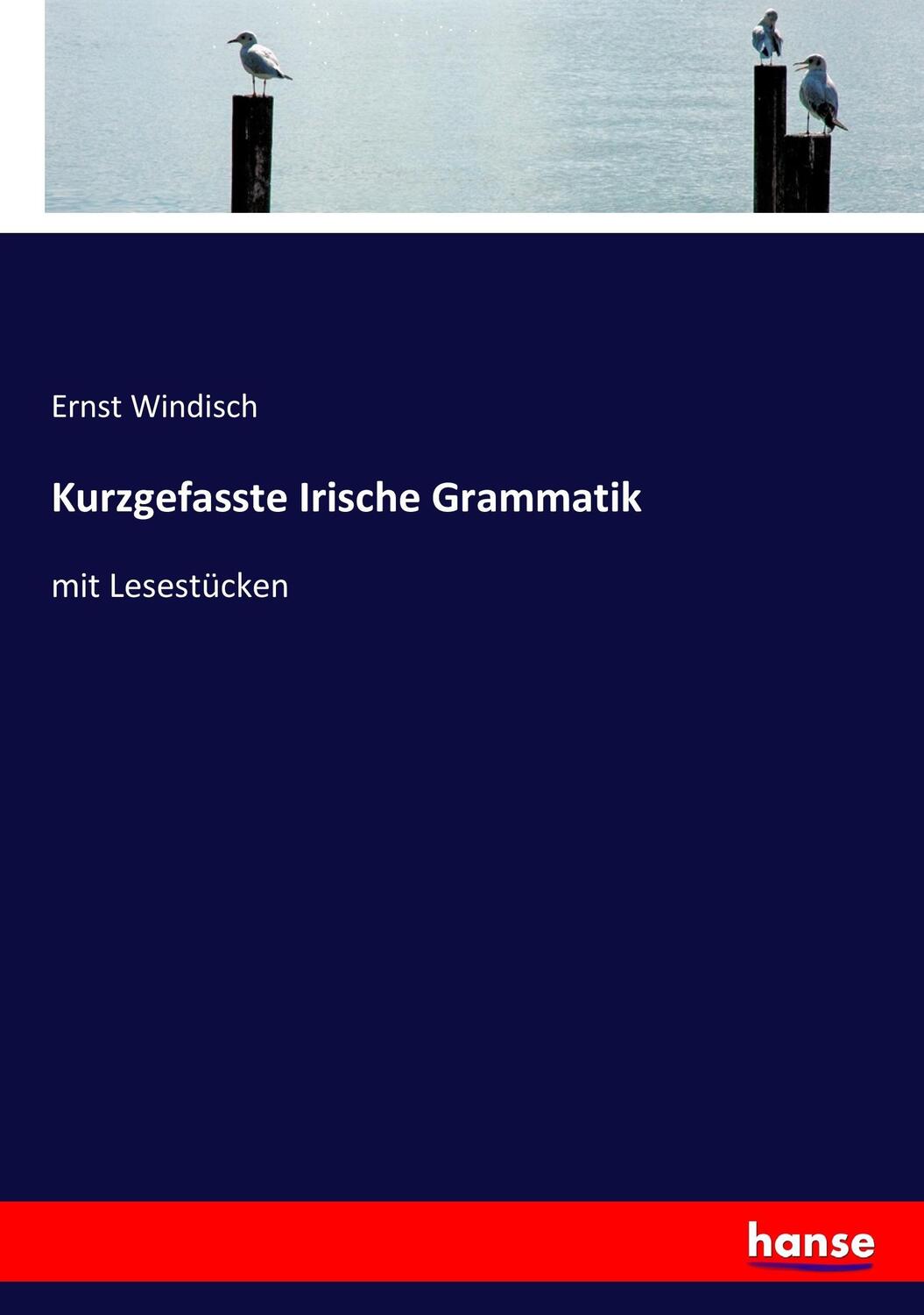 Cover: 9783744641418 | Kurzgefasste Irische Grammatik | mit Lesestücken | Ernst Windisch