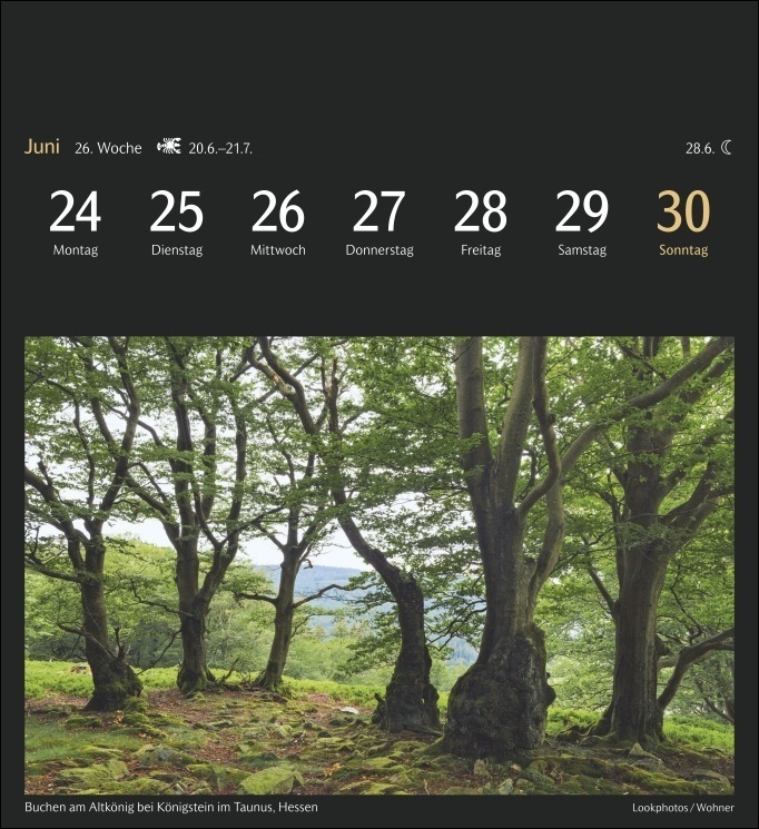 Bild: 9783840035258 | Deutschlands Natur Postkartenkalender 2024. Die schönsten...