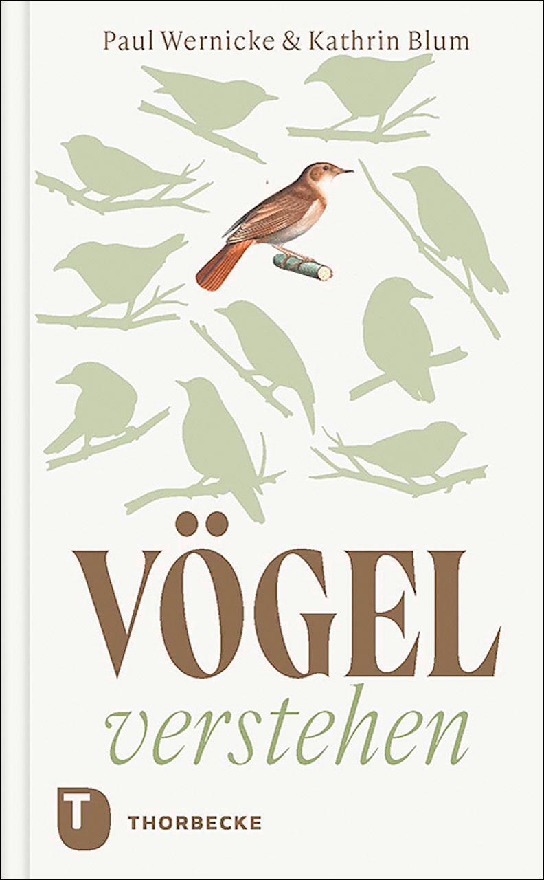 Cover: 9783799519786 | Vögel verstehen | Paul Wernicke (u. a.) | Buch | 184 S. | Deutsch
