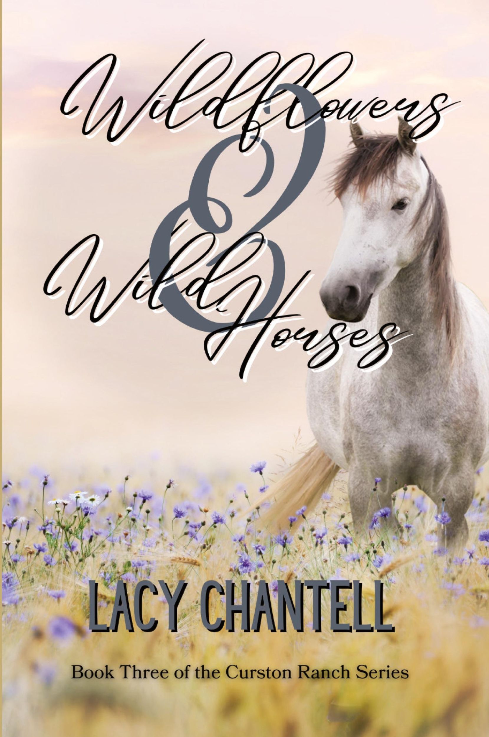 Cover: 9798869334824 | Wildflowers &amp; Wild Horses | Lacy Chantell | Taschenbuch | Paperback