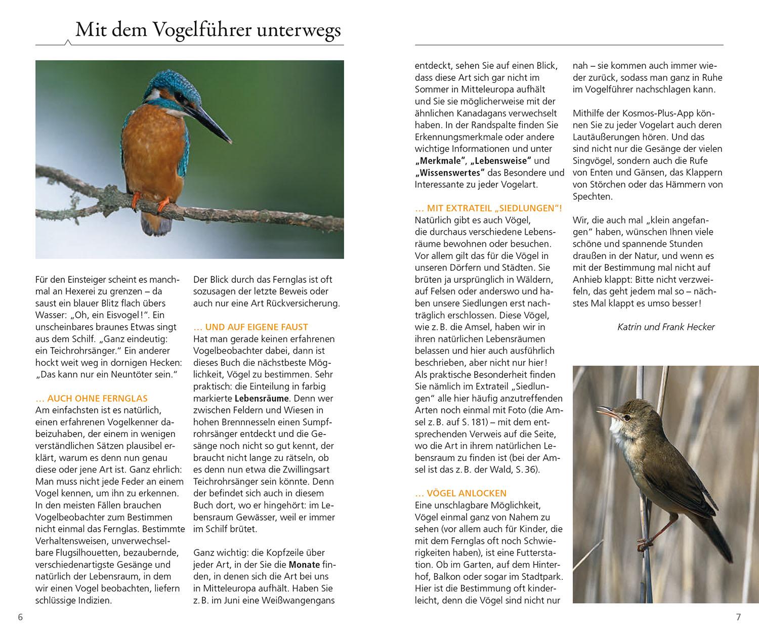 Bild: 9783440181188 | Kosmos Vogelführer für unterwegs | Katrin Hecker (u. a.) | Taschenbuch