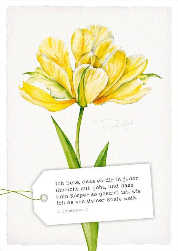 Bild: 4029856840857 | GartenGlück - Postkartenset | 18 Postkarten mit Bibelversen | Stück