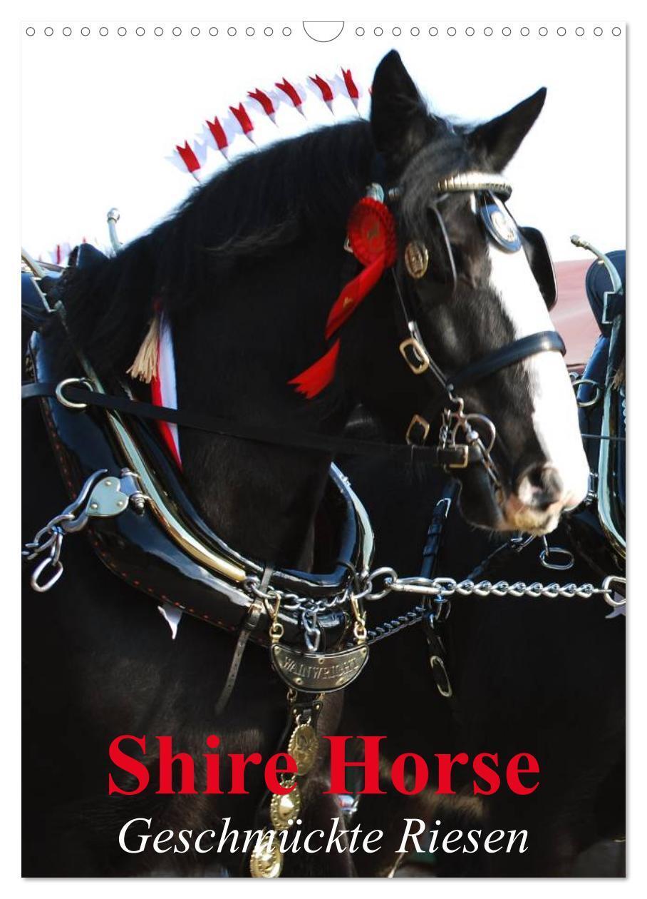 Cover: 9783383553561 | Shire Horse - Geschmückte Riesen (Wandkalender 2024 DIN A3 hoch),...