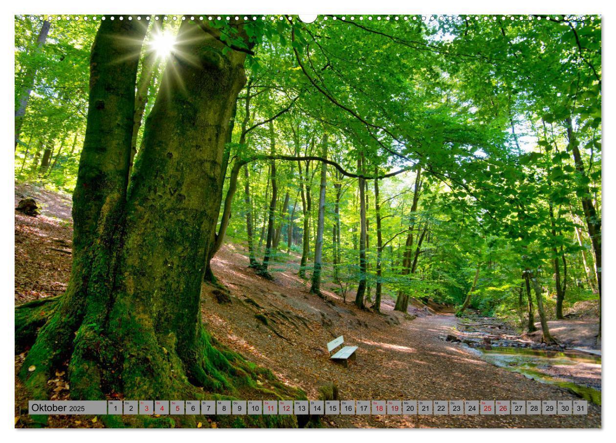 Bild: 9783457203279 | Streifzug durch Ostwestfalen (Wandkalender 2025 DIN A2 quer),...