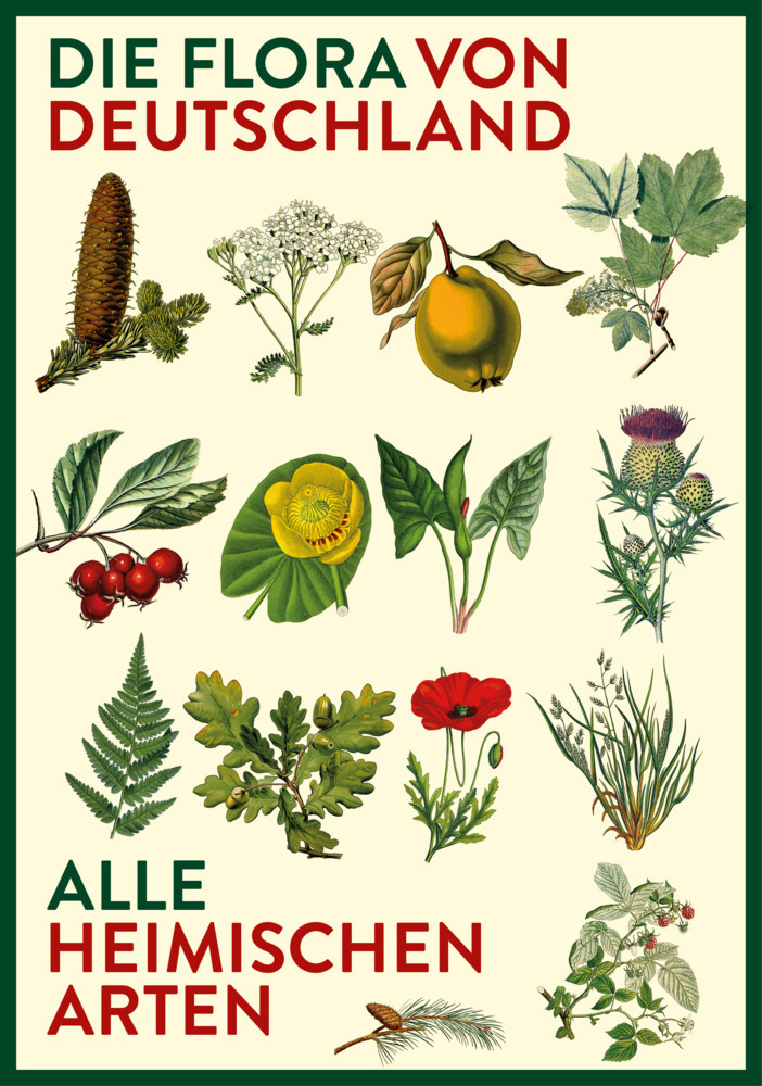 Cover: 9783968490762 | Vorzugsausgabe: Die Flora von Deutschland. Alle heimischen Arten.