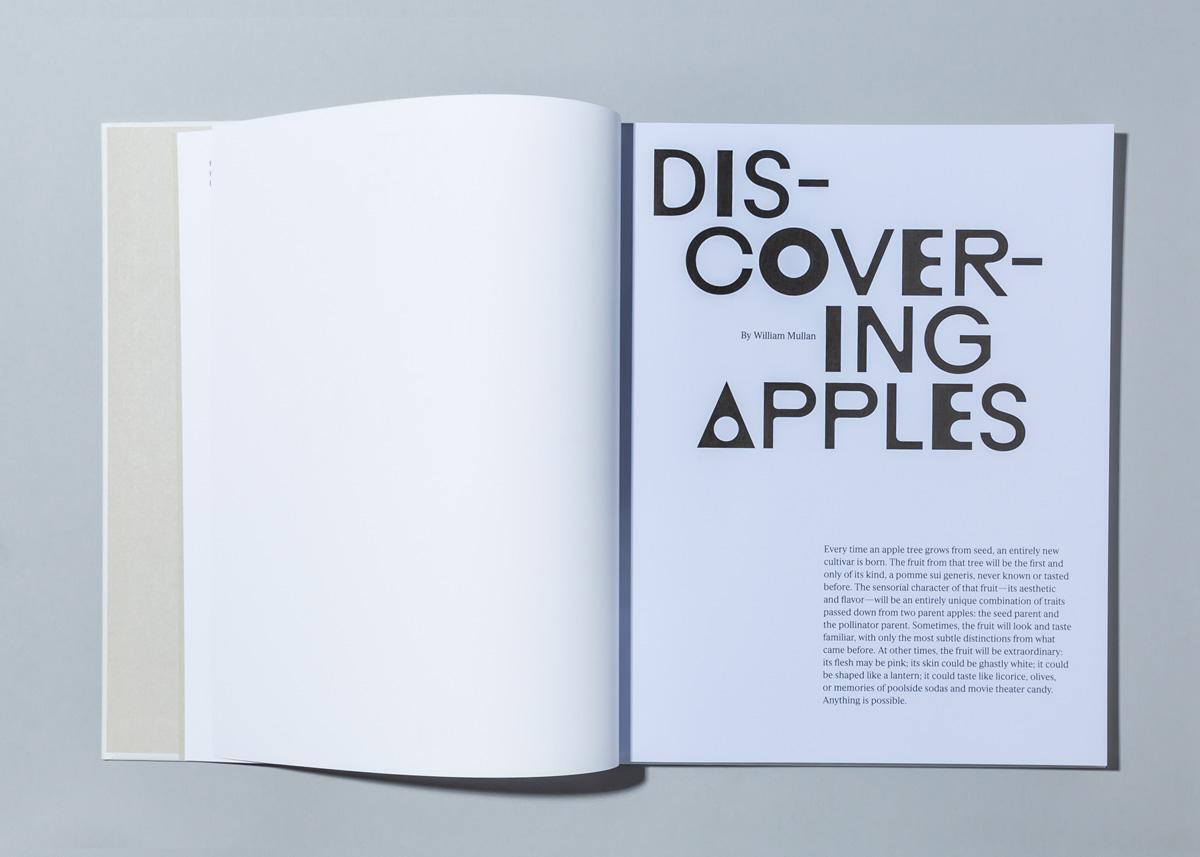 Bild: 9783775751124 | Odd Apples | Buch | 128 S. | Englisch | 2021 | Hatje Cantz Verlag GmbH