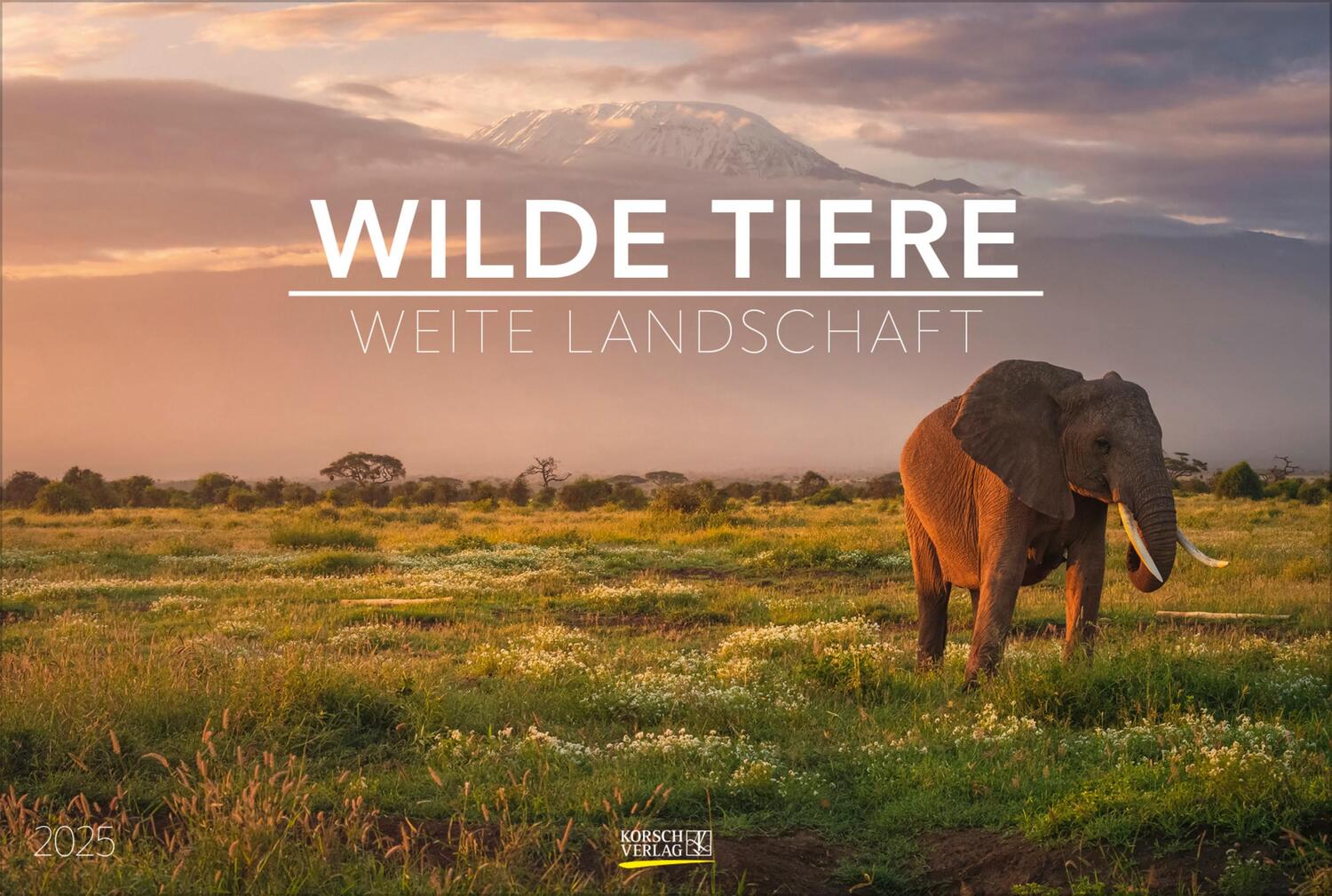 Cover: 9783731880073 | Wilde Tiere - weite Landschaft 2025 | Verlag Korsch | Kalender | 14 S.
