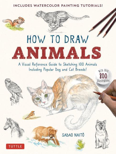 Cover: 9784805317358 | How to Draw Animals | Sadao Naito | Taschenbuch | 2023
