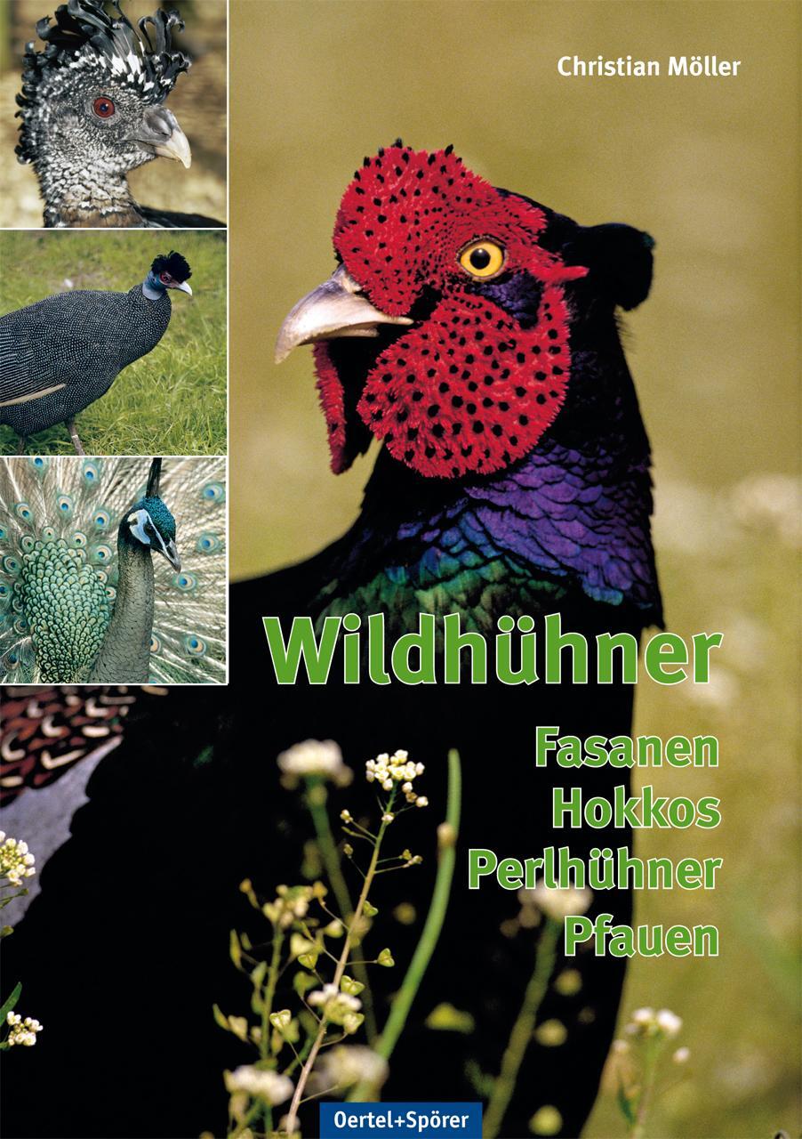 Cover: 9783886275625 | Wildhühner | Fasanen, Hokkos, Perlhühner, Pfauen | Hans von Boetticher