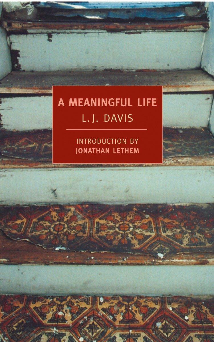 Cover: 9781590173008 | A Meaningful Life | L. J. Davis | Taschenbuch | Englisch | 2009