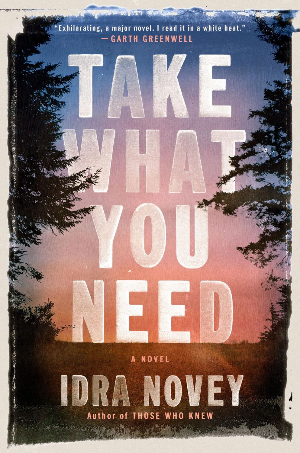 Cover: 9780593652855 | Take What You Need | A Novel | Idra Novey | Buch | Englisch | 2023