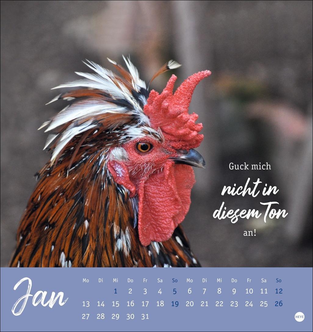 Bild: 9783756408573 | Hühner Postkartenkalender 2025 - Ach, du verrücktes Huhn! | Kalender