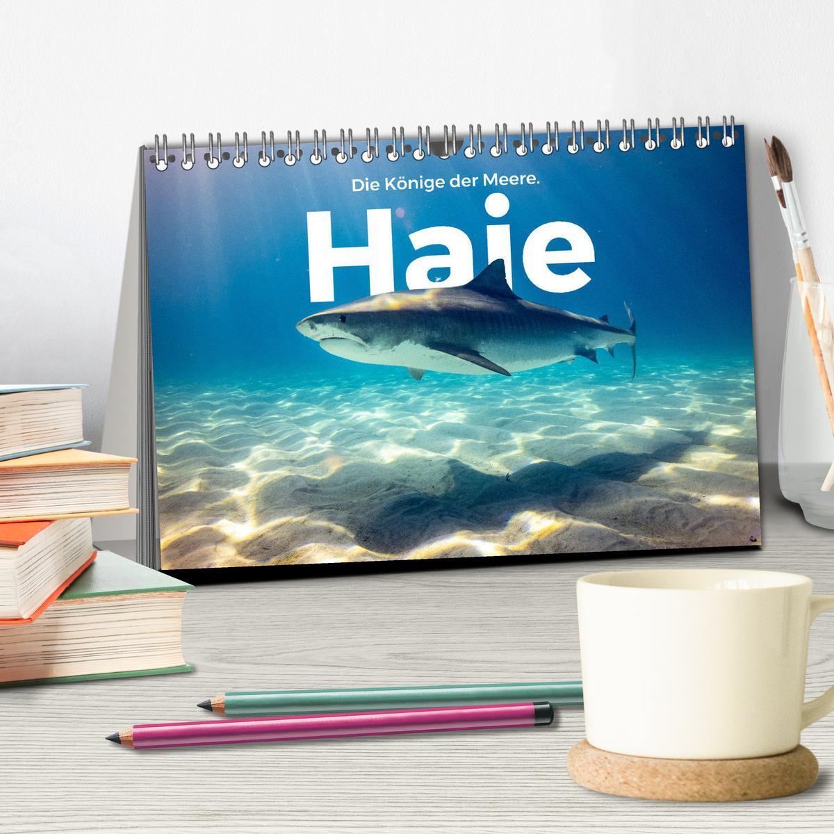 Bild: 9783435000296 | Haie - Könige der Meere. (Tischkalender 2025 DIN A5 quer), CALVENDO...