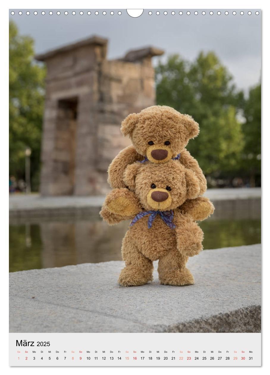 Bild: 9783435935093 | Travelling Teddy auf Welt-Tour (Wandkalender 2025 DIN A3 hoch),...