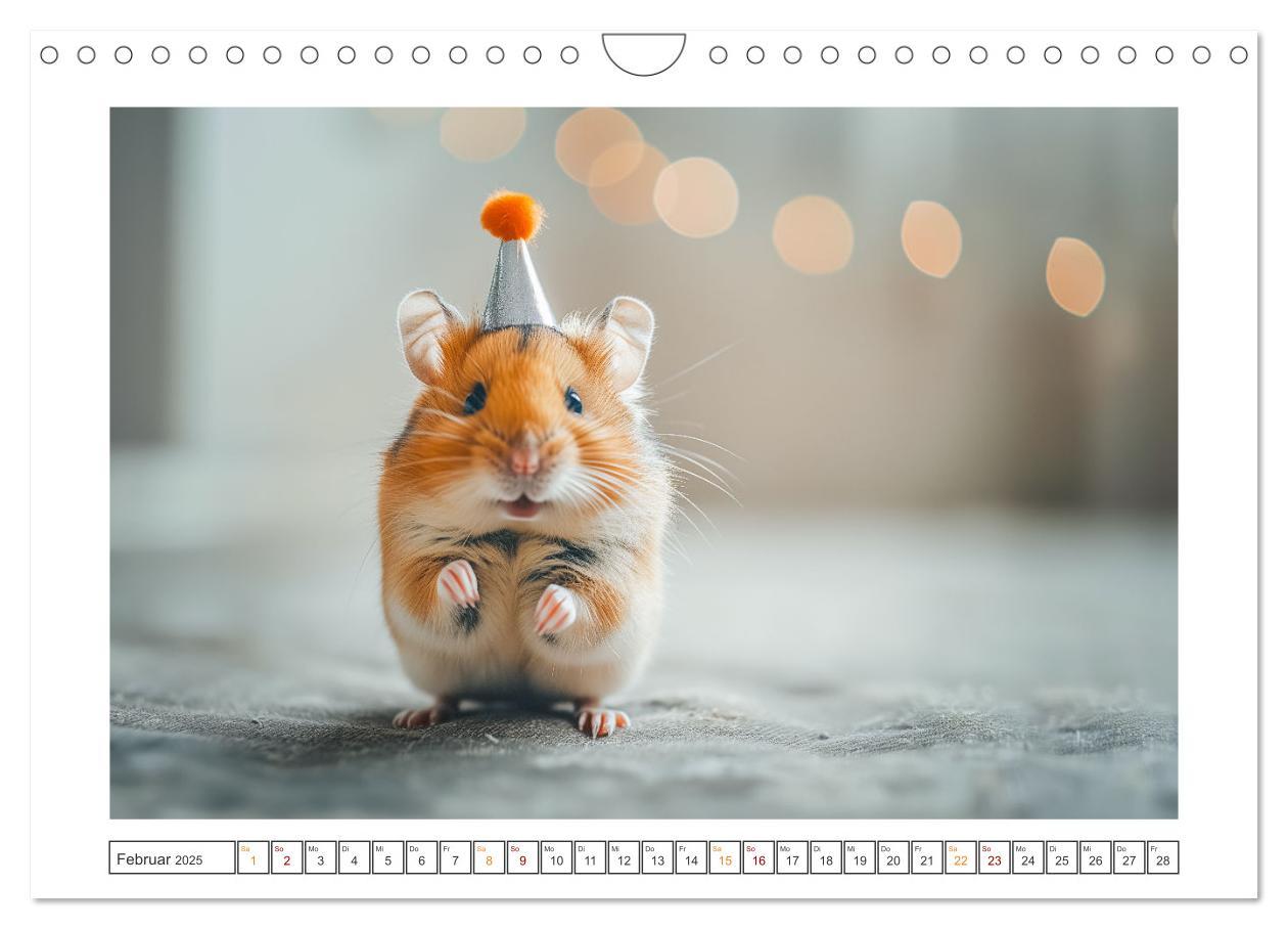 Bild: 9783435069958 | Lustige Hamster (Wandkalender 2025 DIN A4 quer), CALVENDO...