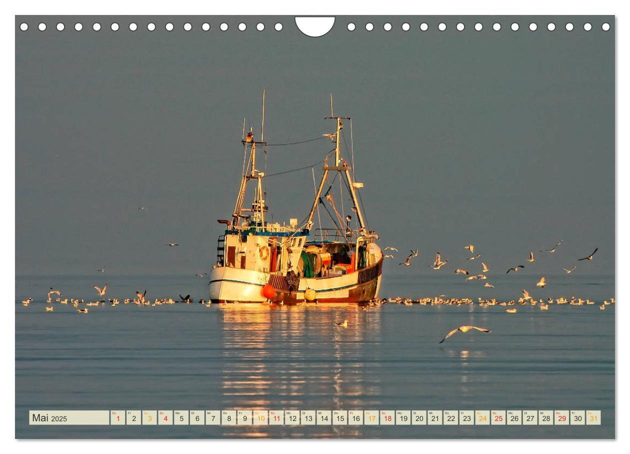 Bild: 9783435384020 | Maritime Augenblicke - Fischkutter (Wandkalender 2025 DIN A4 quer),...