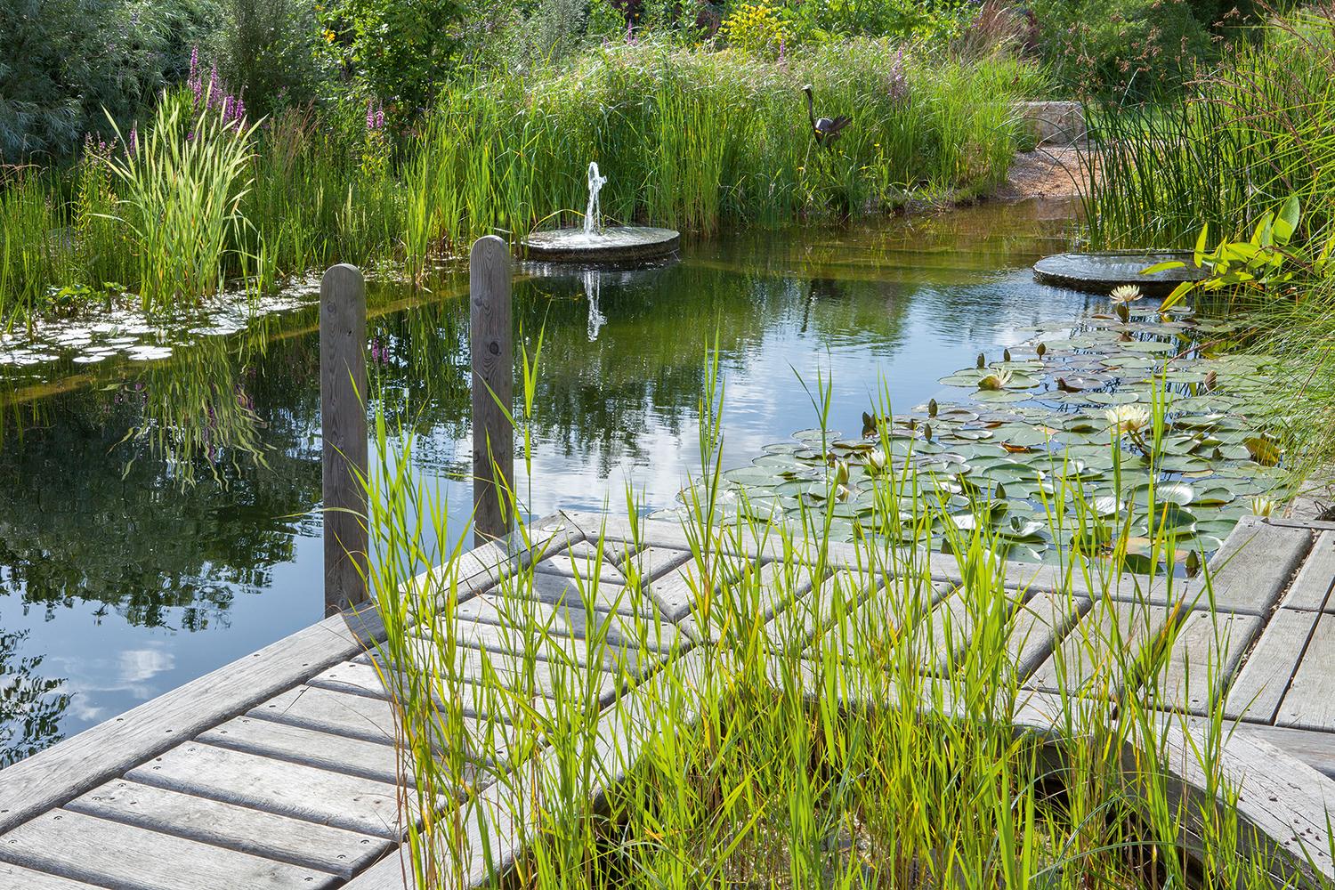 Bild: 9783954530649 | Wasser im Garten 2 | Das große Ideenbuch | Jörg Baumhauer | Buch