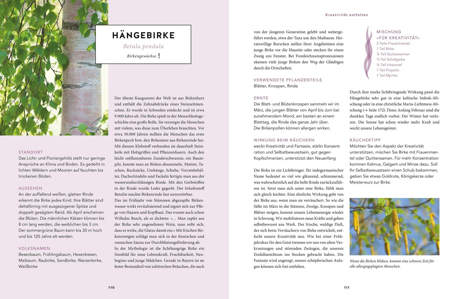 Bild: 9783833862427 | Heilsames Räuchern mit Wildpflanzen | Adolfine Nitschke | Buch | 2018