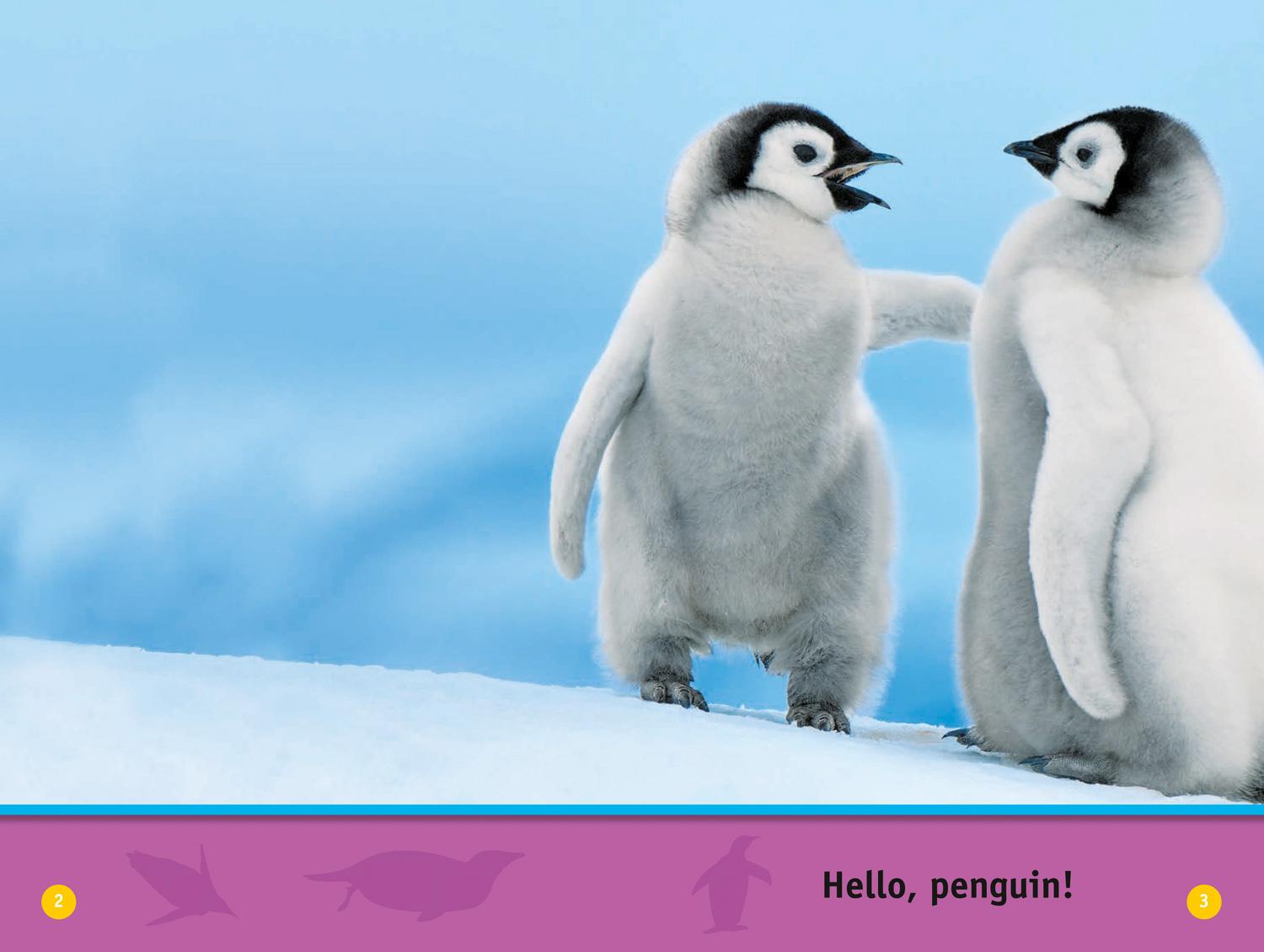 Bild: 9780008422202 | Hello, Penguin! | Level 1 | Kathryn Williams (u. a.) | Taschenbuch