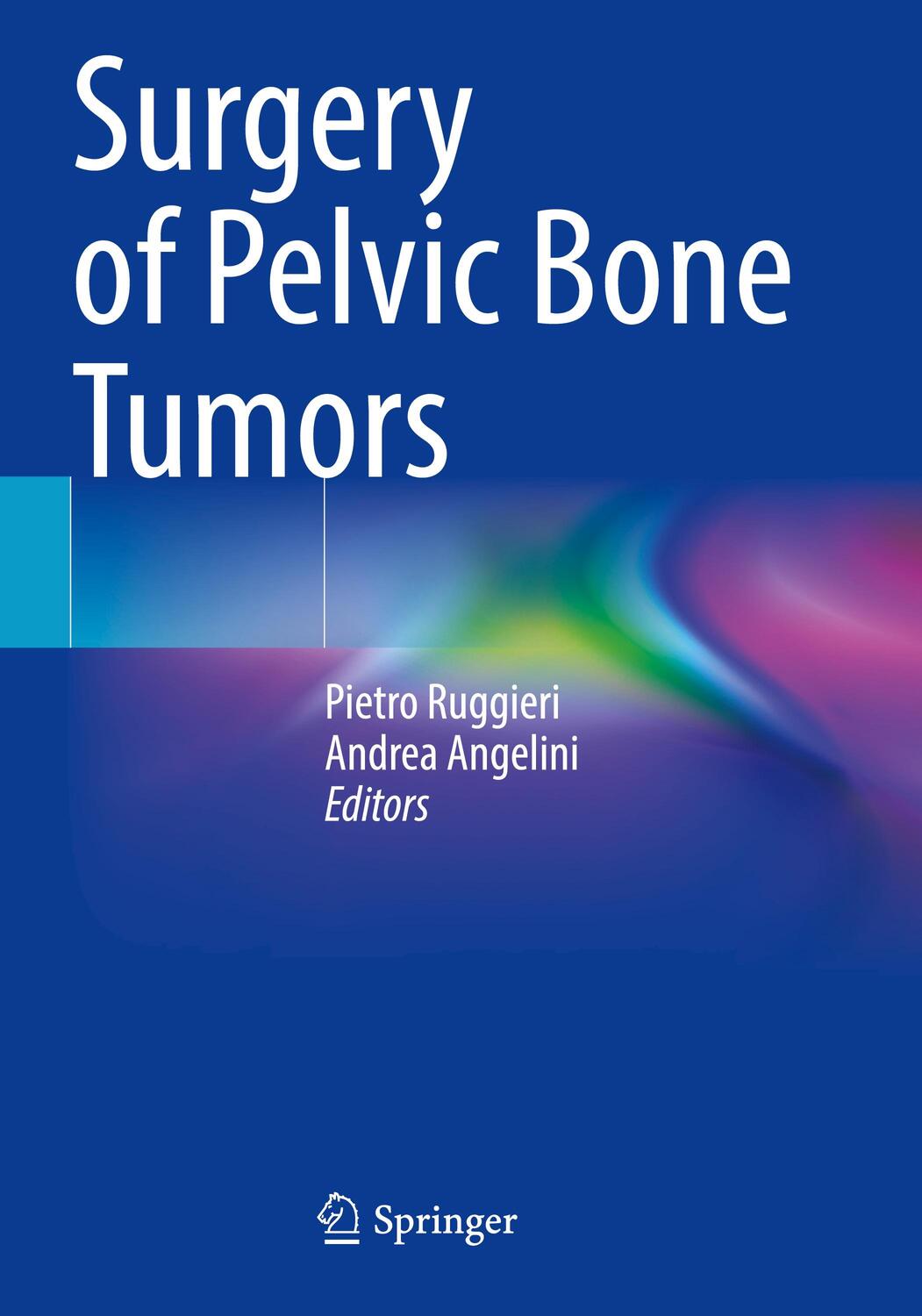 Cover: 9783030770099 | Surgery of Pelvic Bone Tumors | Andrea Angelini (u. a.) | Taschenbuch