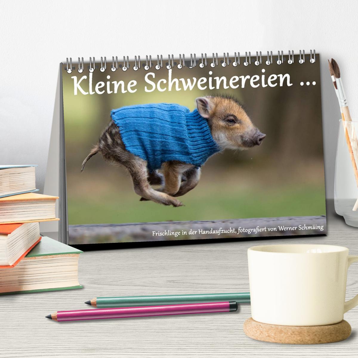 Bild: 9783435535682 | Kleine Schweinereien (Tischkalender 2025 DIN A5 quer), CALVENDO...