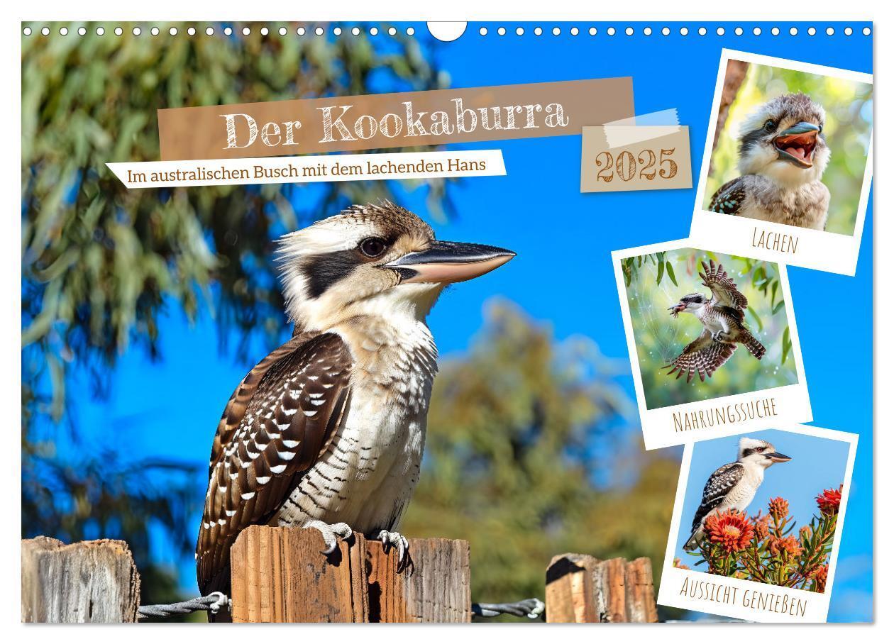 Cover: 9783383777899 | Der Kookaburra - Im australischen Busch mit dem lachenden Hans...