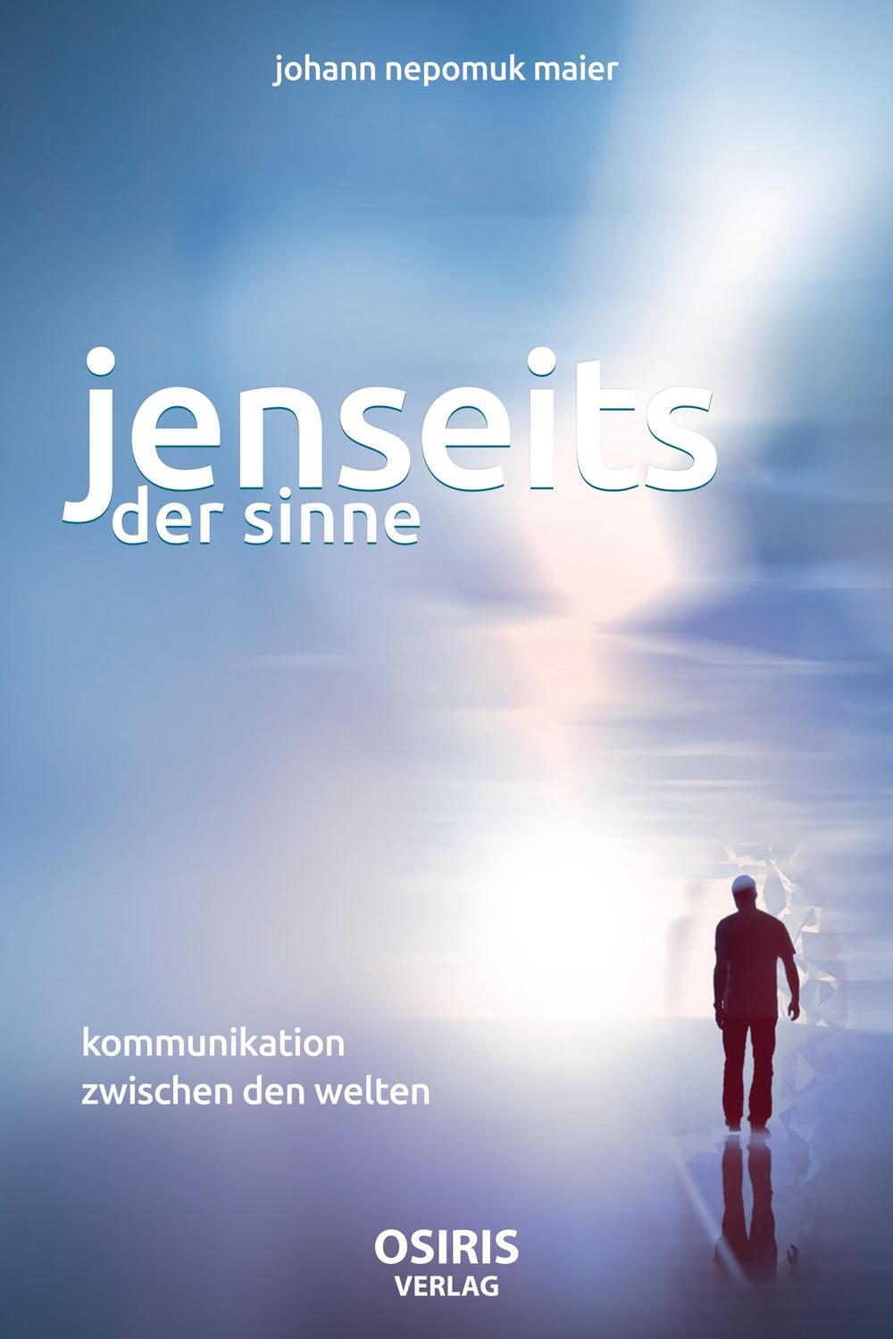 Cover: 9783947397051 | Jenseits der Sinne | Kommunikation zwischen den Welten | Maier | Buch