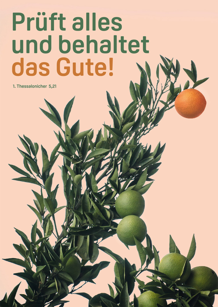 Cover: 4250454705136 | Jahreslosung 2025 - Postkarten (10er-Set) | Mareike Schaaf | Stück