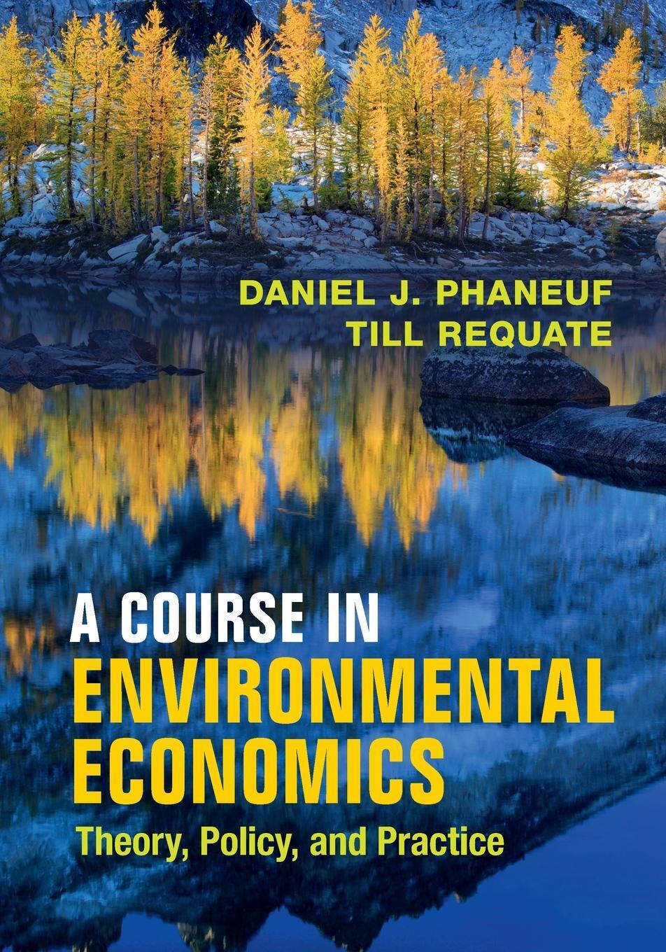 Cover: 9780521178693 | A Course in Environmental Economics | Till Requate | Taschenbuch