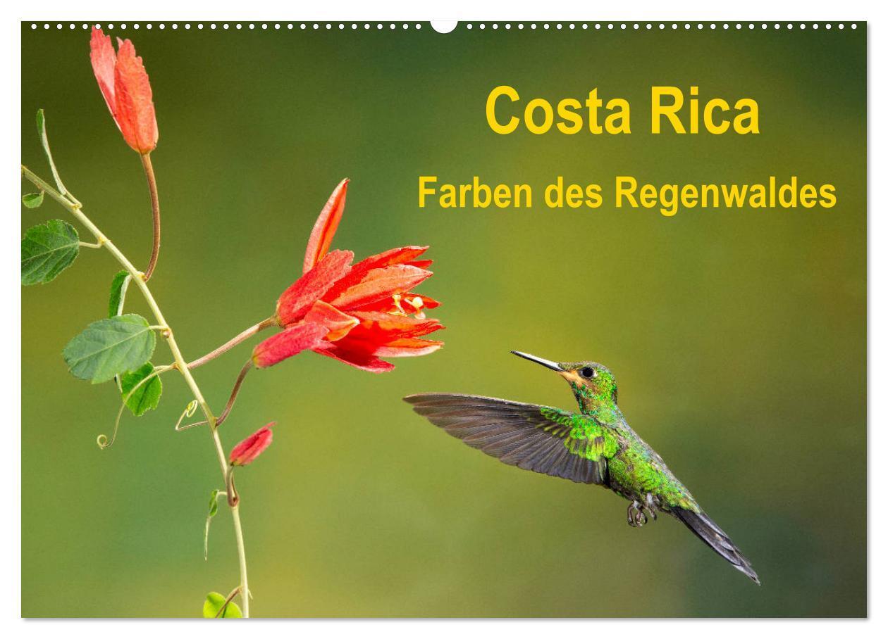 Cover: 9783383121005 | Costa Rica - Farben des Regenwaldes (Wandkalender 2024 DIN A2...