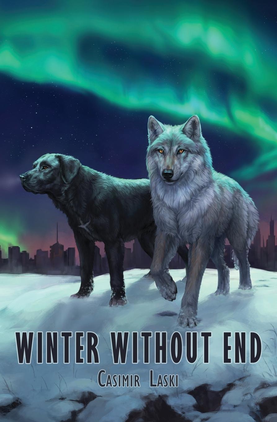 Cover: 9781624751608 | Winter Without End | Casimir Laski | Taschenbuch | Paperback | 2022