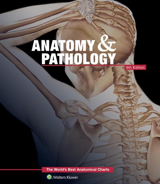 Cover: 9781469889900 | Anatomy &amp; Pathology:The World's Best Anatomical Charts Book | Company