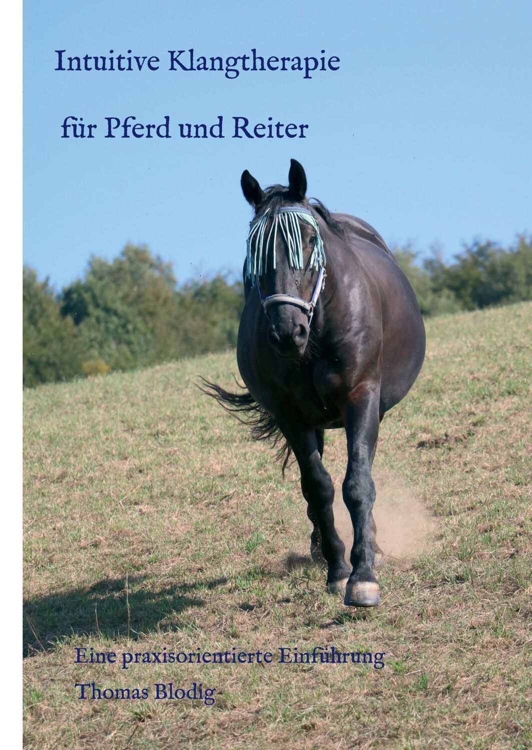 Cover: 9783743944206 | Intuitive Klangtherapie für Pferd und Reiter | Thomas Blodig | Buch