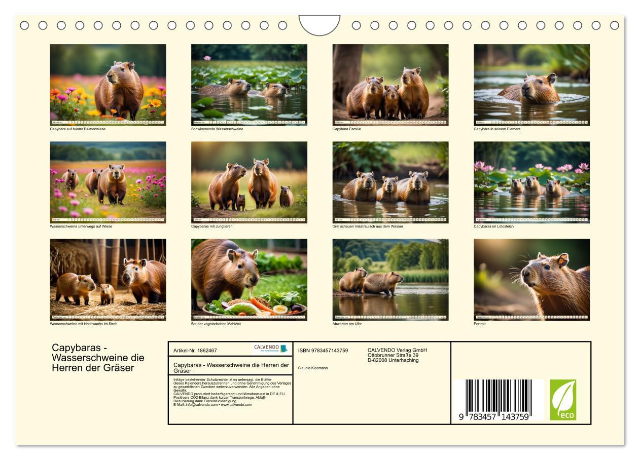 Bild: 9783457143759 | Capybaras - Wasserschweine die Herren der Gräser (Wandkalender 2025...