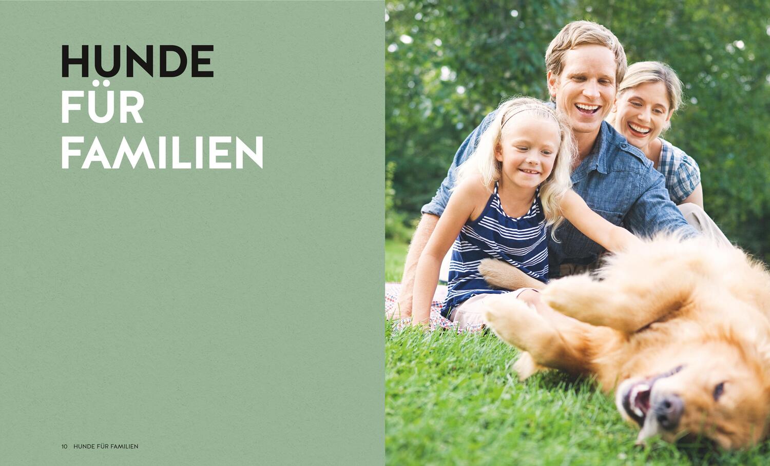 Bild: 9783833893551 | Finde den Hund, der zu dir passt | Xx | Taschenbuch | Deutsch | 2024