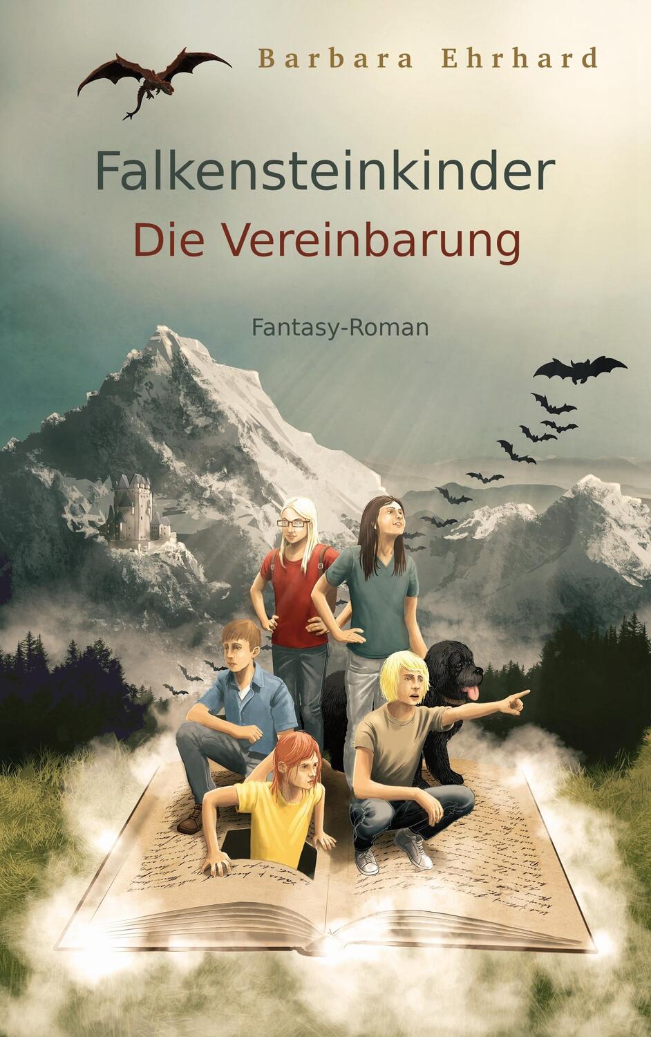 Cover: 9783743126596 | Falkensteinkinder | Die Vereinbarung | Barbara Ehrhard | Taschenbuch